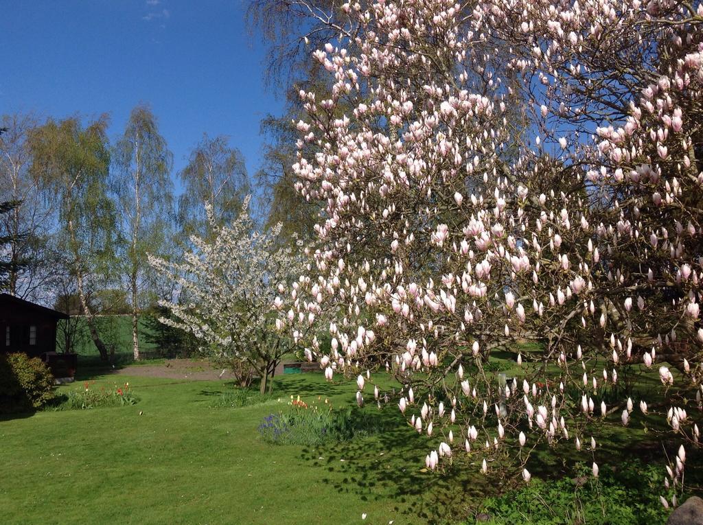 Dyrlev Bed & Breakfast Præstø Eksteriør bilde